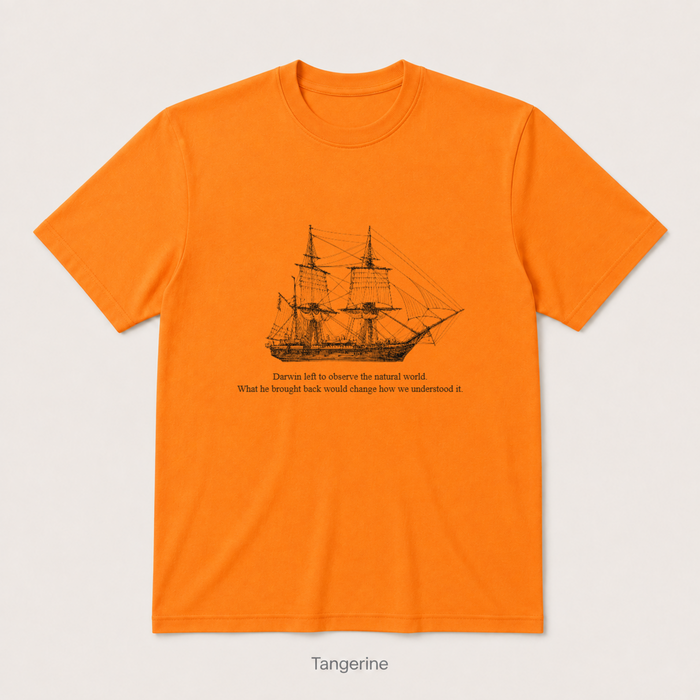 HMS Beagle — Tangerine