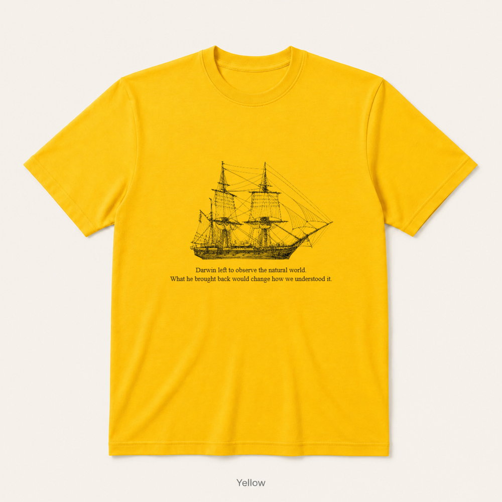 HMS Beagle — Yellow
