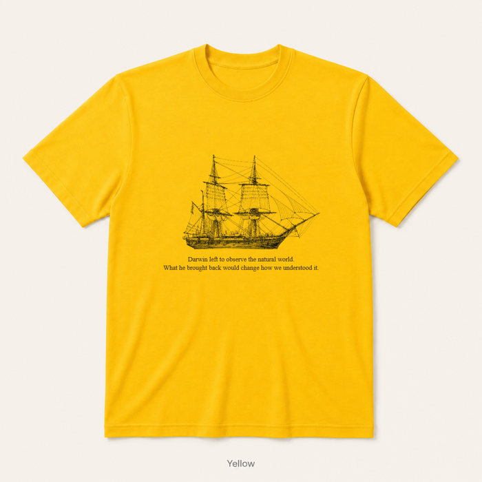 HMS Beagle — Yellow
