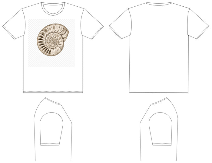 Ammonite — Mary Anning