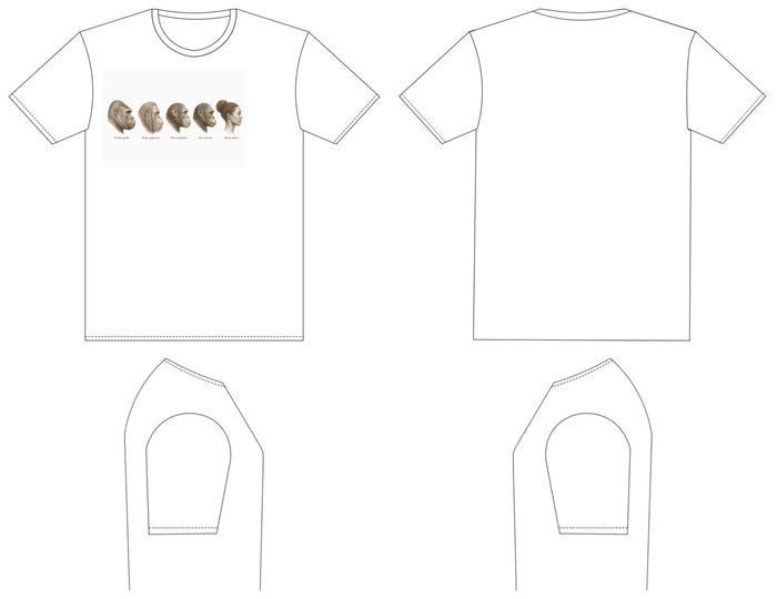 Great Apes — Family Hominidae