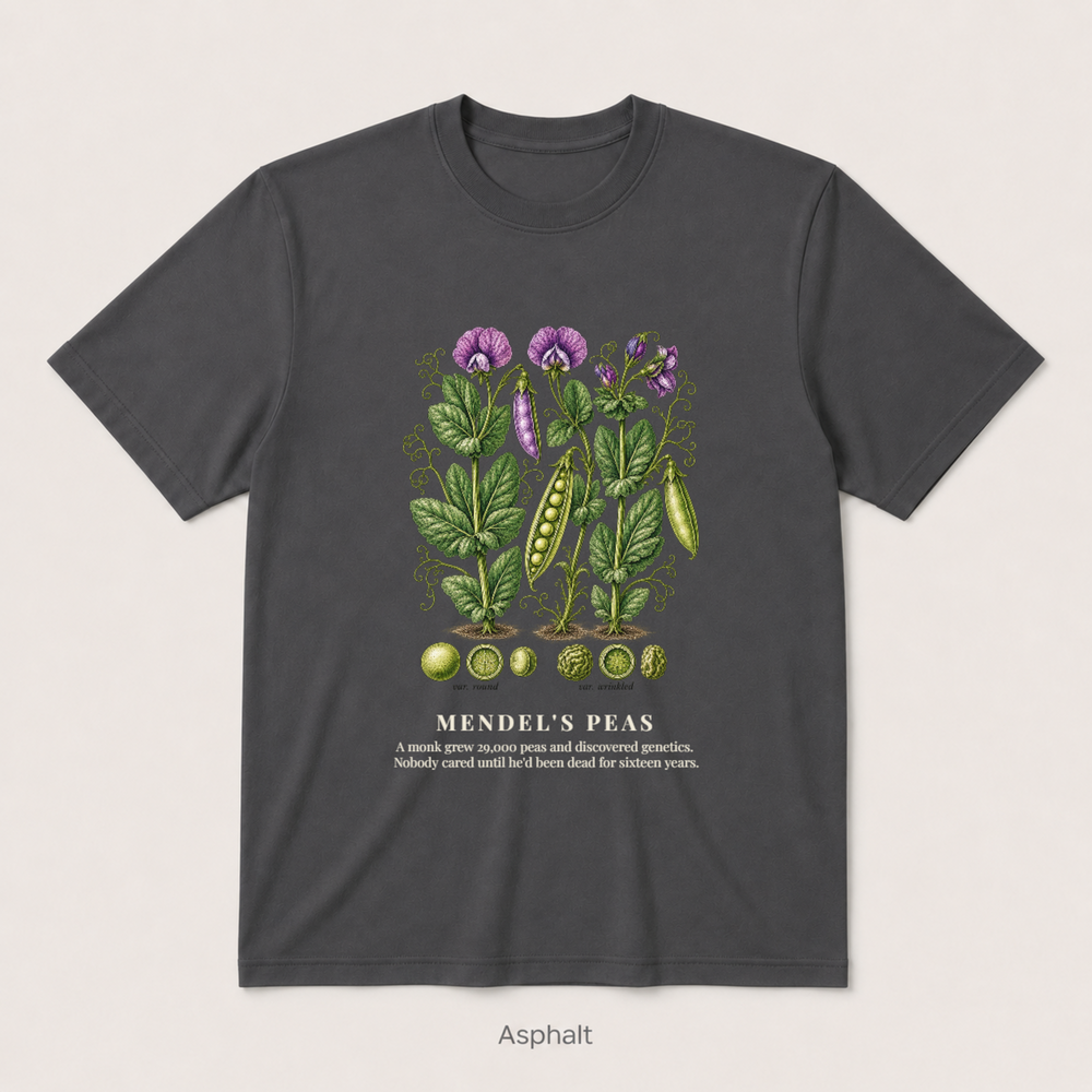 Mendel's Peas — Asphalt