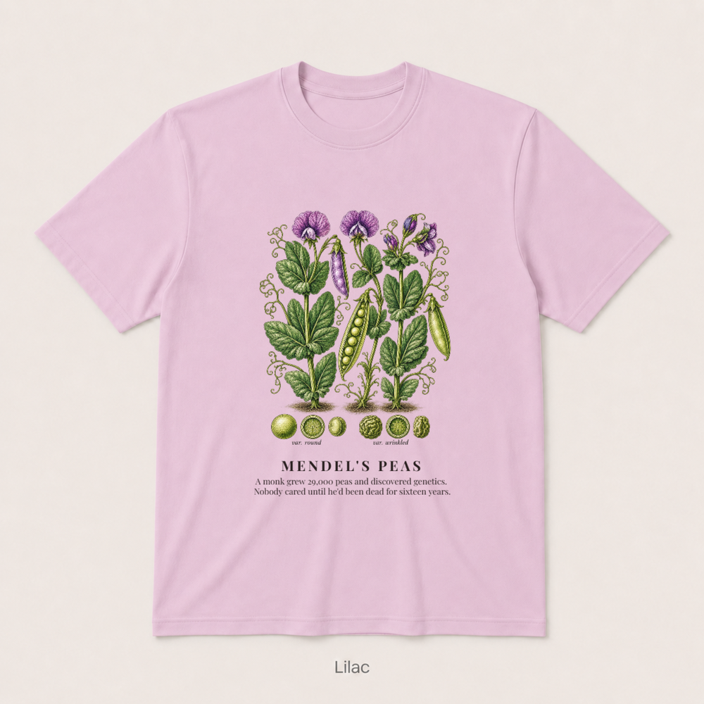 Mendel's Peas — Lilac