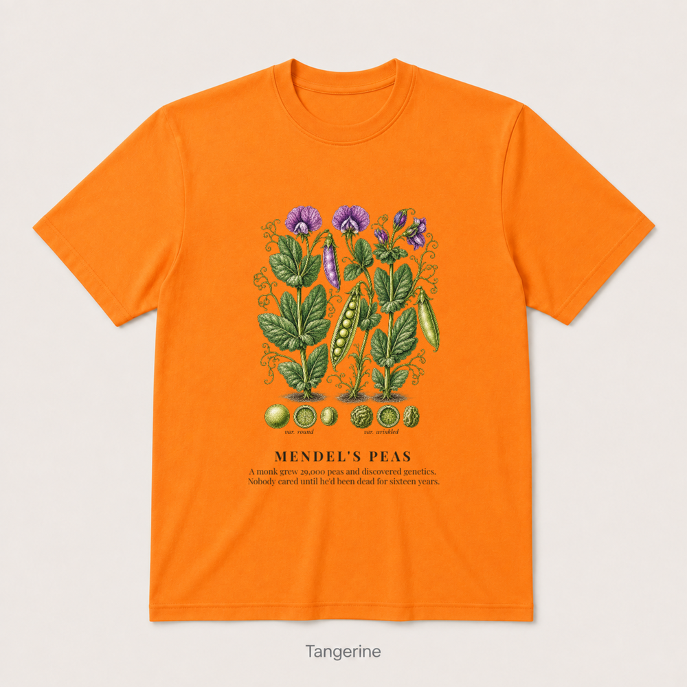 Mendel's Peas — Tangerine