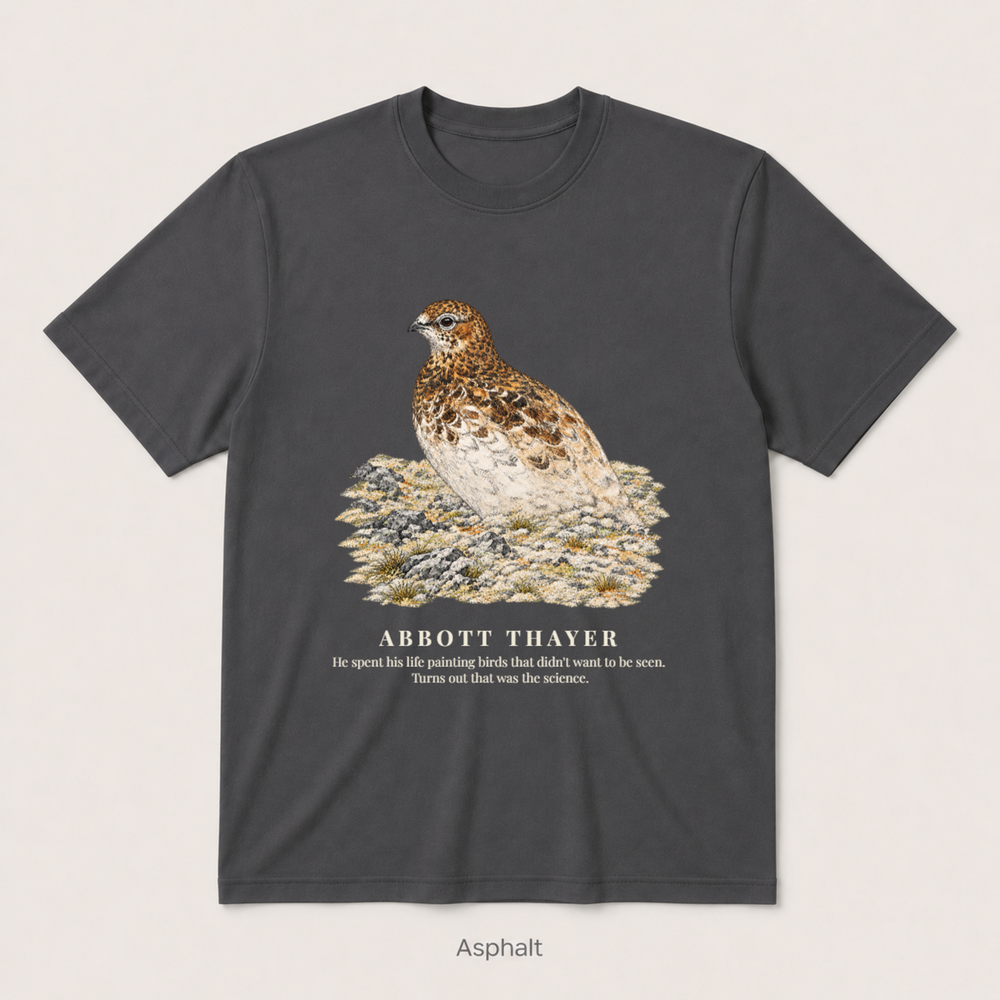 Camouflage — Asphalt
