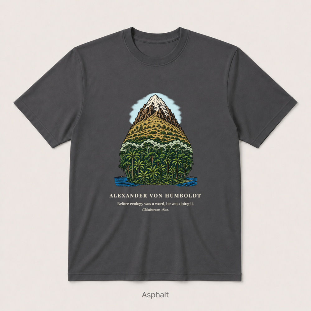 Alexander von Humboldt — Asphalt